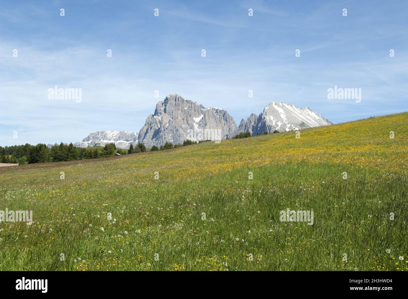Langkofel, Langkofel, Seiser Alm, S Stockfoto