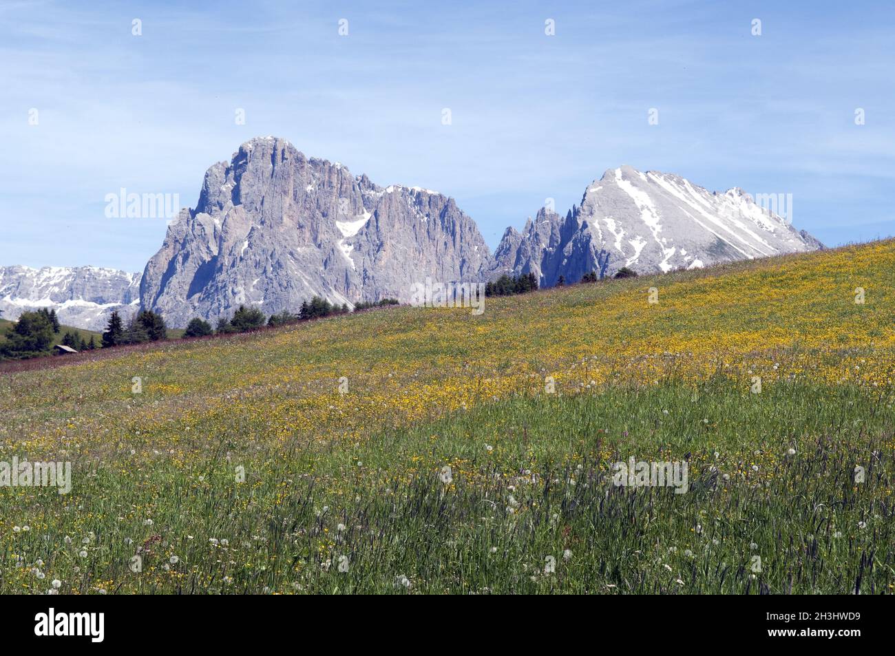 Langkofel, Langkofel, Seiser Alm, S Stockfoto