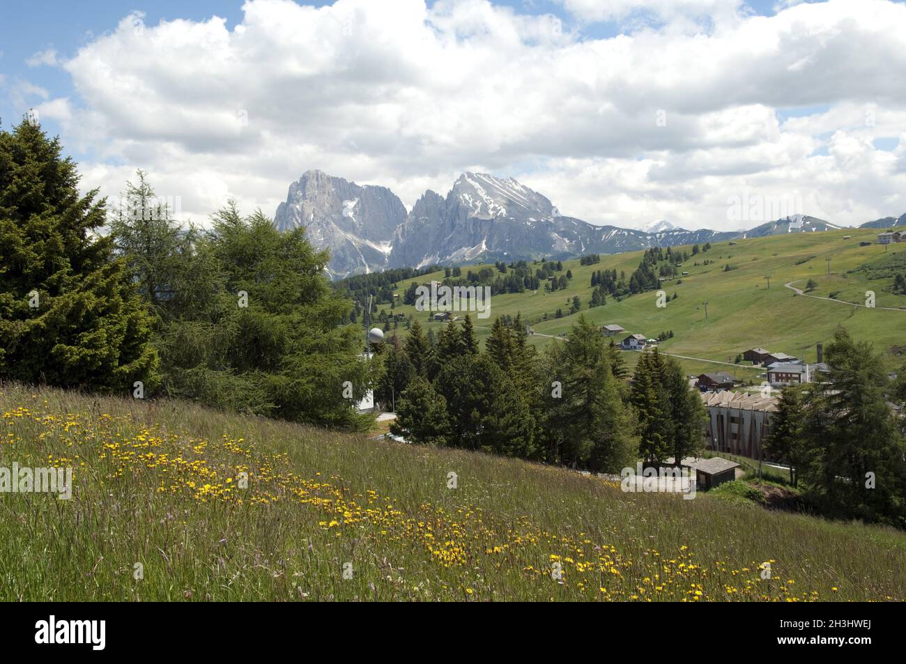 Langkofel, Langkofel, Seiser Alm, S Stockfoto