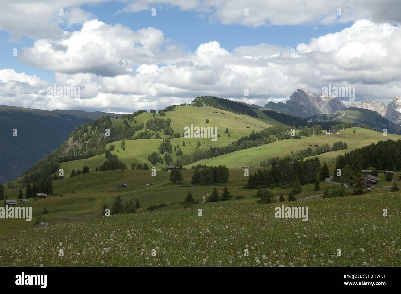 Seiser Alm, Seiser Alm, Dolomiten, UNESCO Weltnaturerbe, Dolomiten, Stockfoto
