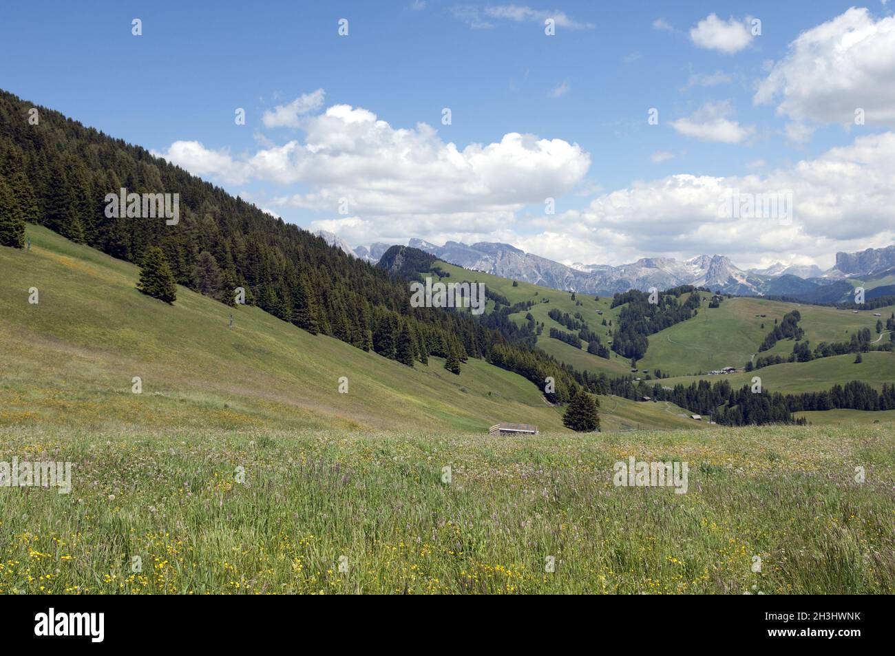 Seiser Alm, Seiser Alm, Dolomiten, UNESCO Weltnaturerbe, Dolomiten, Stockfoto
