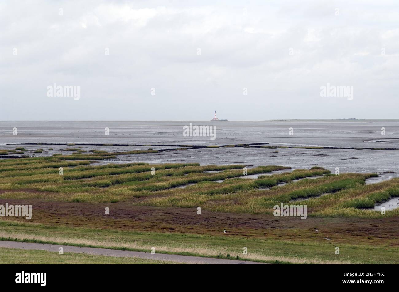 Salzwiese; Boehl; Sankt Peter-Ording; Stockfoto