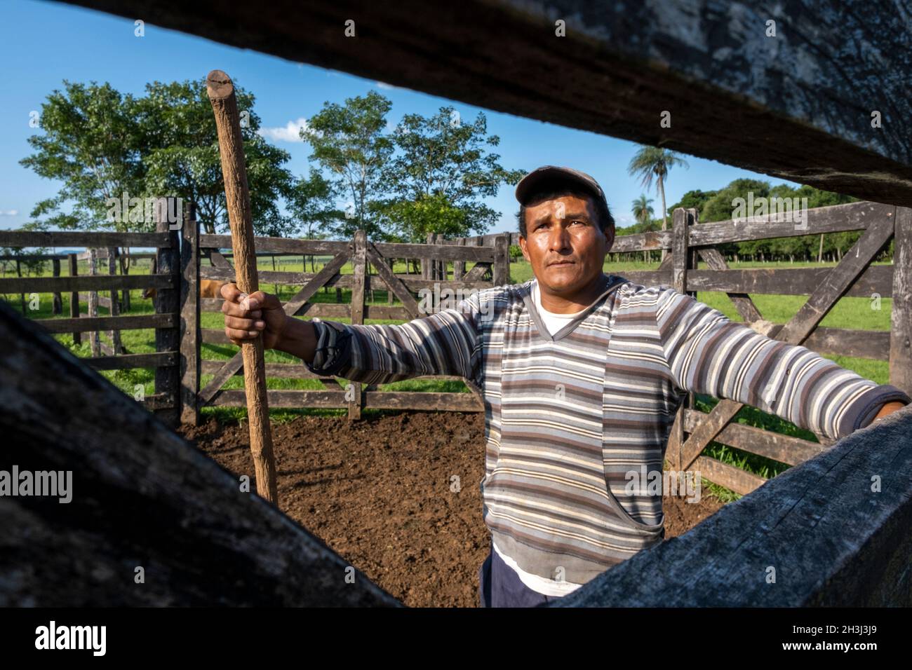Gaucho arbeitet in einem Viehhof. Santiago, Paraguay Stockfoto