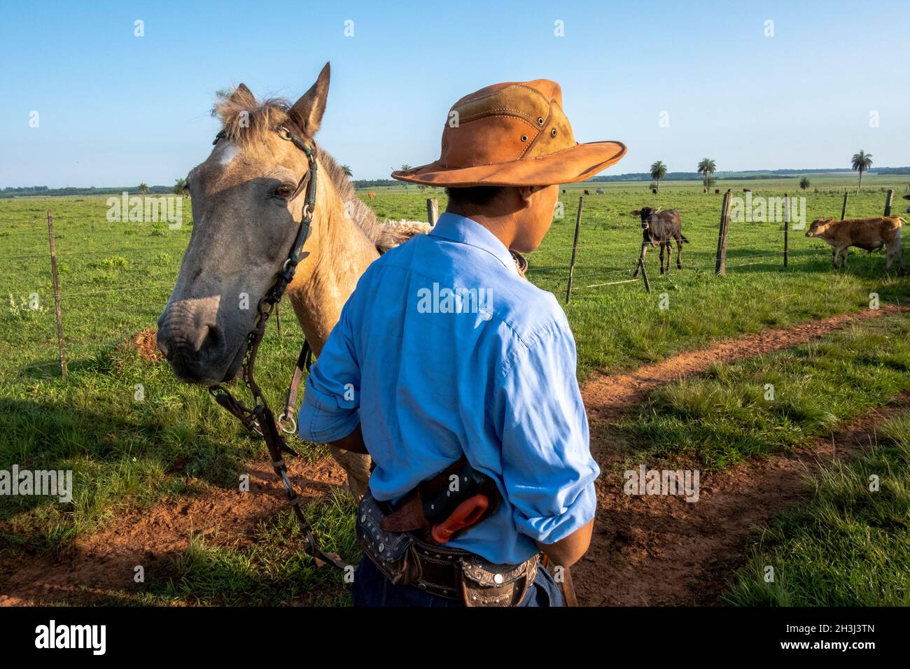 Gaucho arbeitet auf einer Ranch in Santiago, Paraguay. Stockfoto