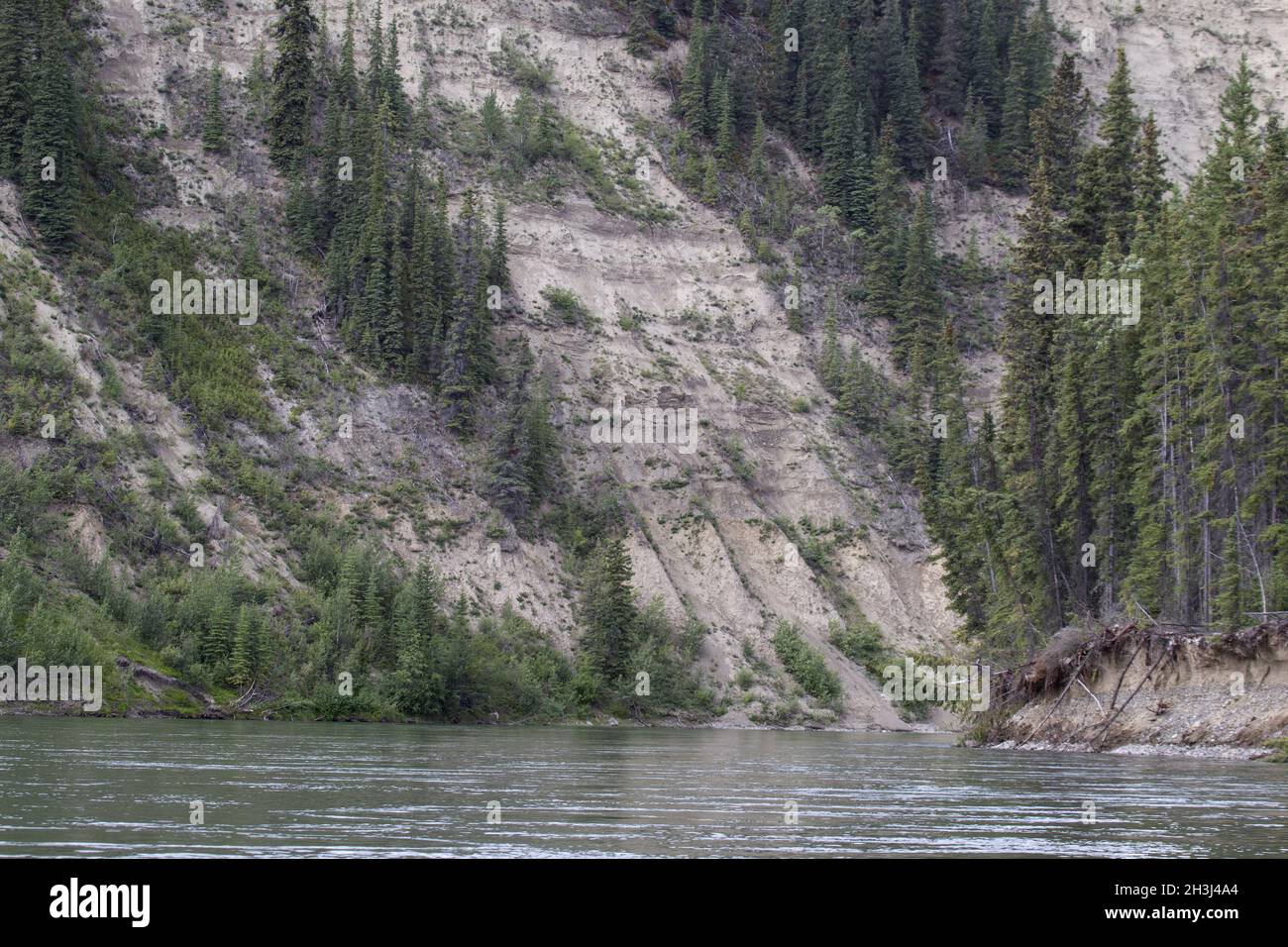 Yukon River Stockfoto