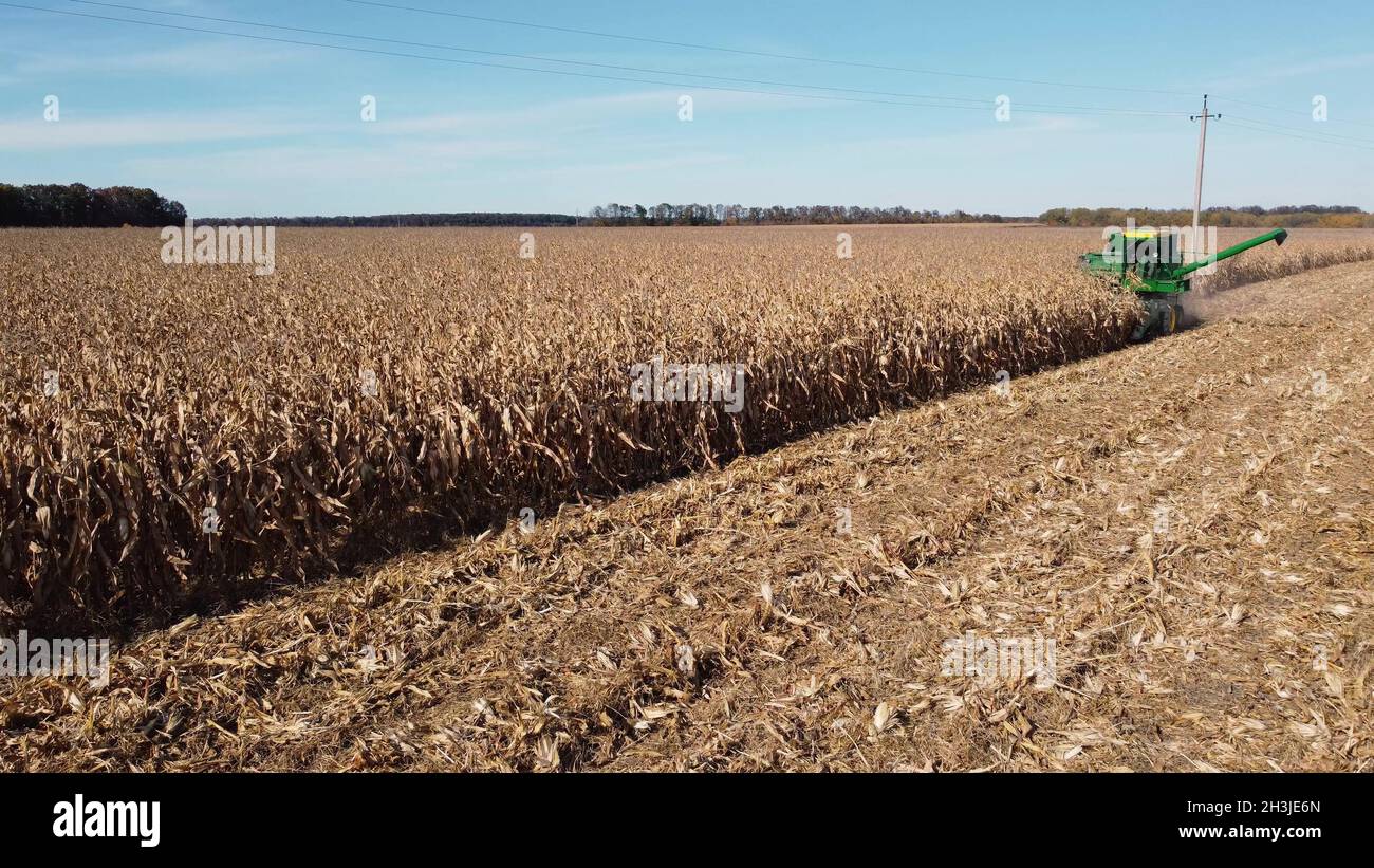 Ernte eines Maisfeldes. Ein kleiner Mähdrescher arbeitet in ländlichen Gebieten Vinnytsia, Ukraine 27.10.2021 Stockfoto