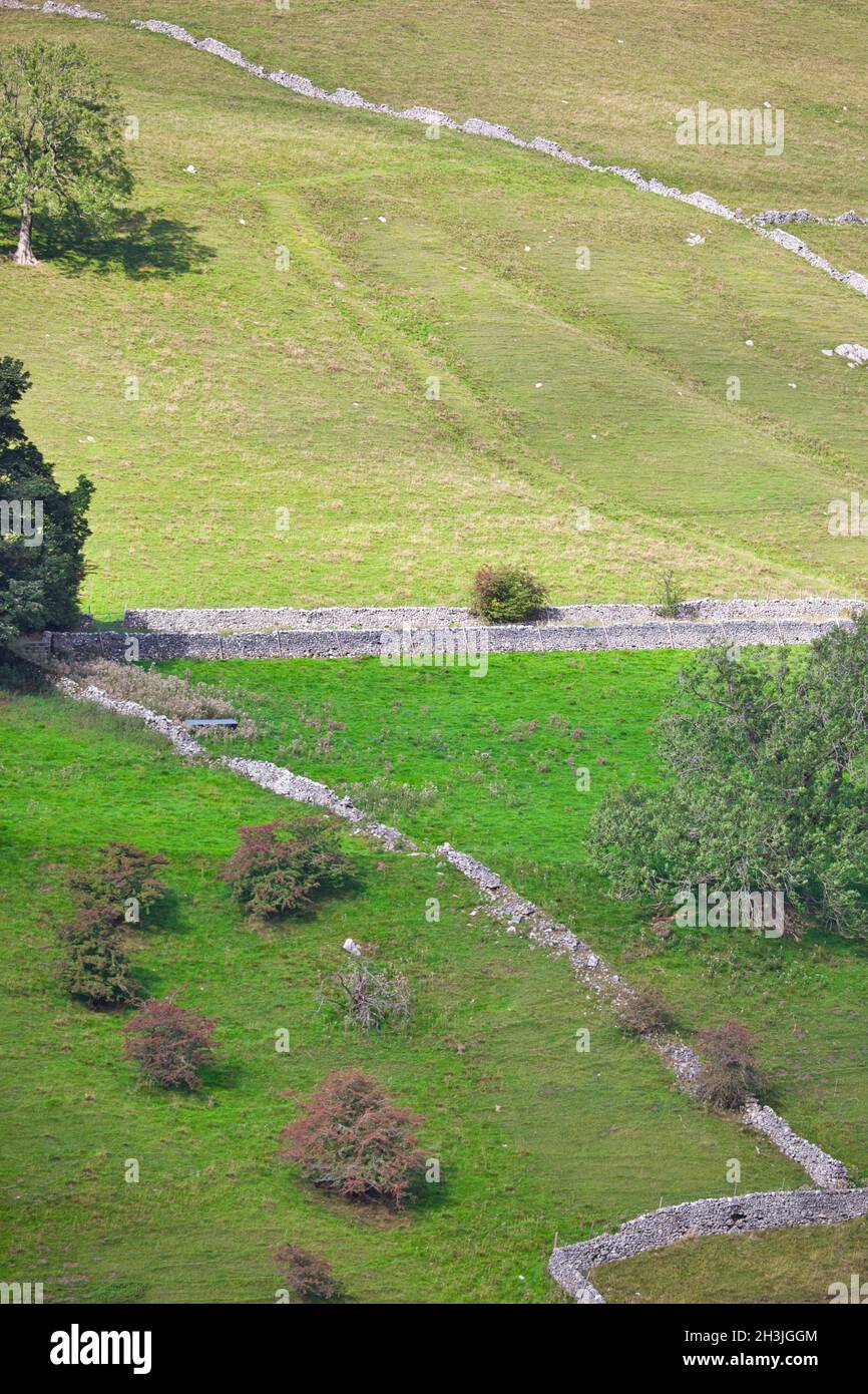 Zerklüftete Hügel mit traditionellen Trockenmauern, Wharfedale, Yorkshire Dales National Park, North Yorkshire, England Stockfoto