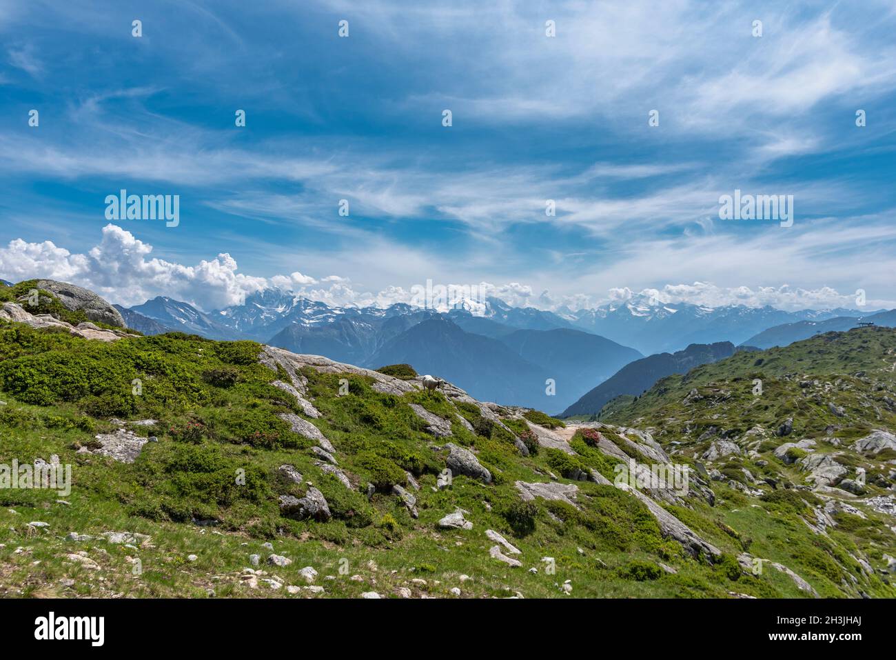 Landschaft entlang des Panoramawanderweges am Aletschgletscher zwischen Bettmerhorn und Riederalp, Riederalp, Wallis, Schweiz, Europa Stockfoto