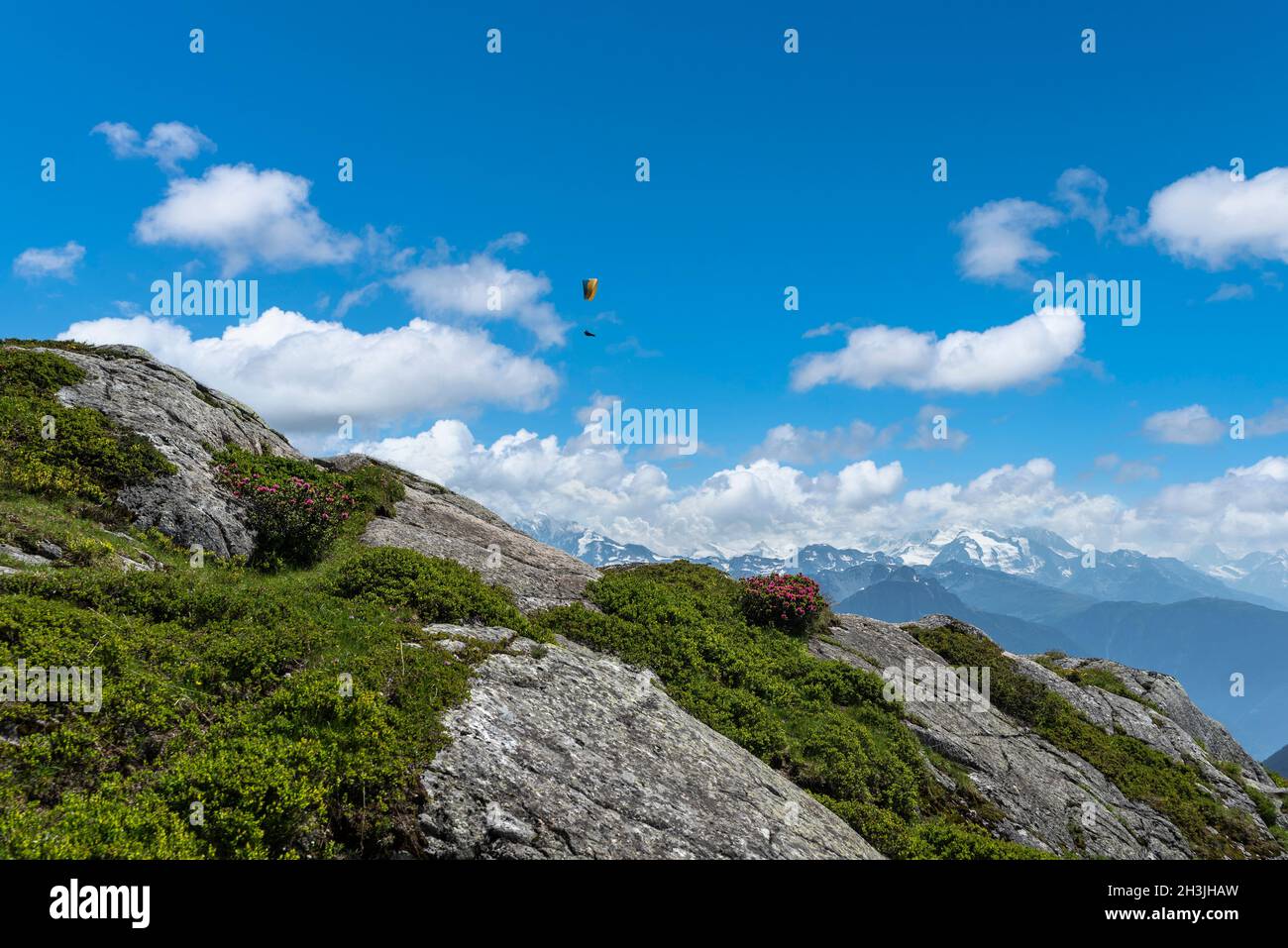 Gleitschirmfliegen auf dem Panoramawanderweg beim Aletschgletscher zwischen Bettmerhorn und Riederalp, Riederalp, Wallis, Schweiz, Europa Stockfoto
