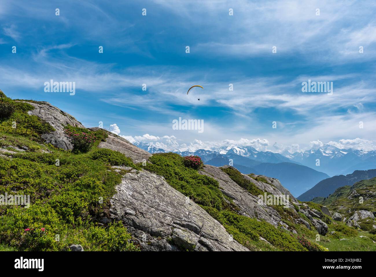Gleitschirmfliegen auf dem Panoramawanderweg beim Aletschgletscher zwischen Bettmerhorn und Riederalp, Riederalp, Wallis, Schweiz, Europa Stockfoto