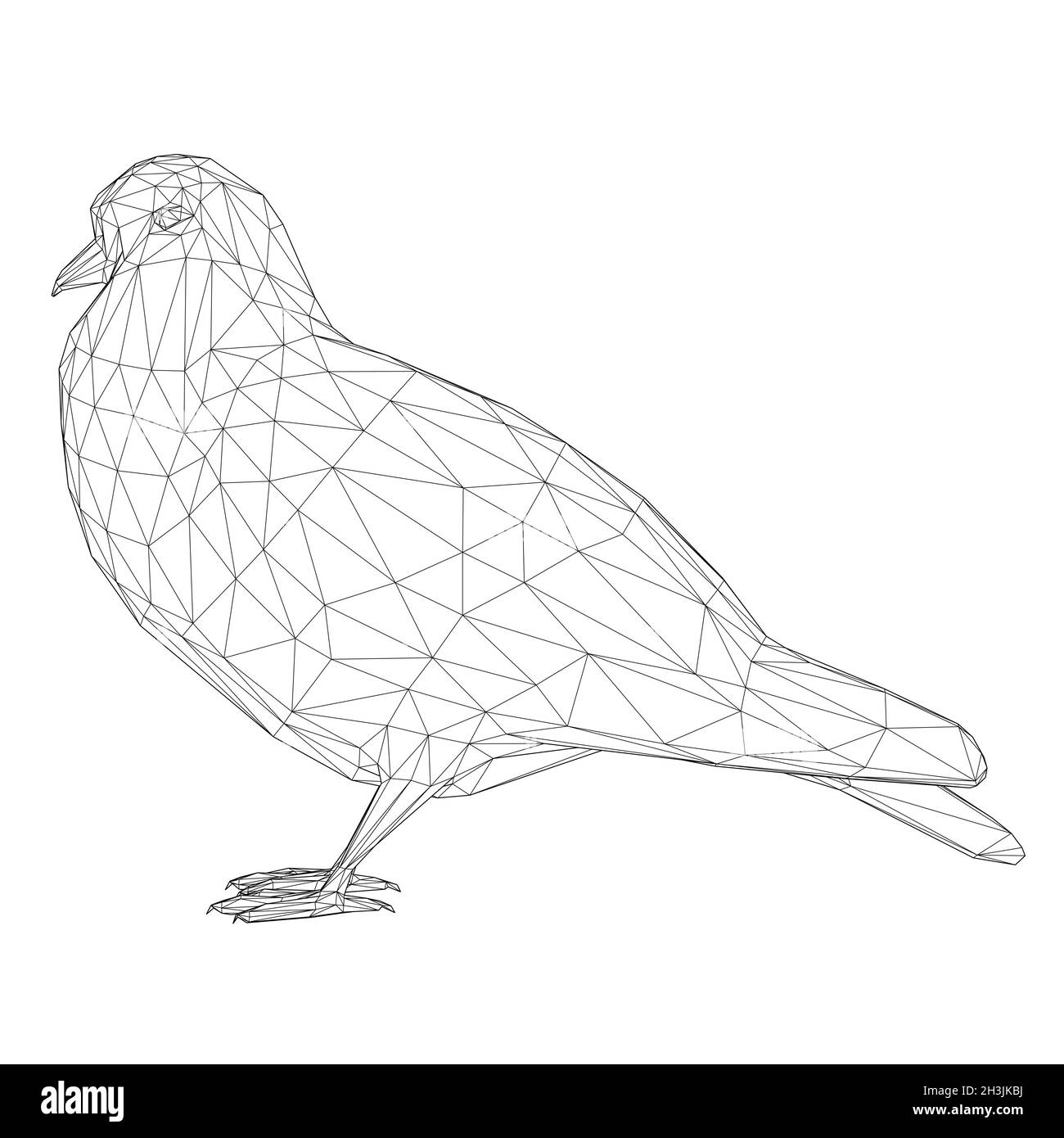 Taubenwireframe aus schwarzen Linien isoliert auf weißem Hintergrund. 3D. Vektorgrafik Stock Vektor