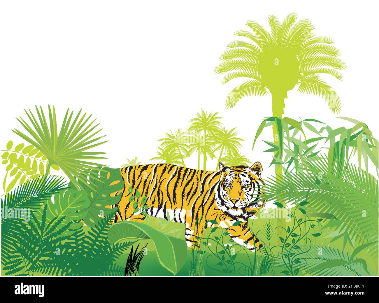 Tiger im Dschungel, Illustration Vektor Stock Vektor