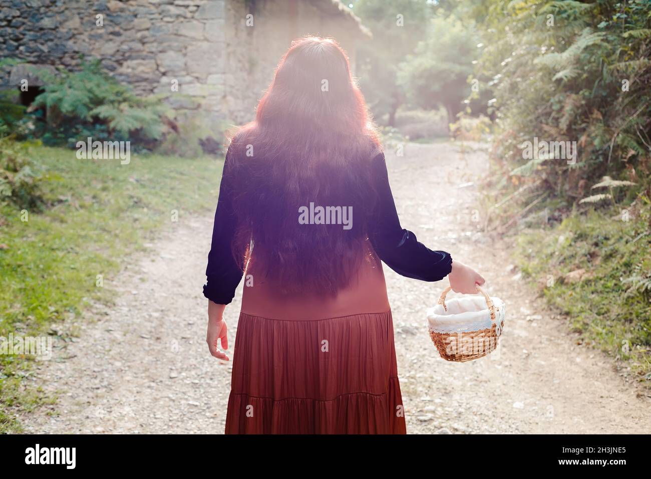 Junge Frau mit einem Weidenkorb, die auf einem Pfad im Wald spazieren geht, um Brombeeren zu pflücken. Stockfoto