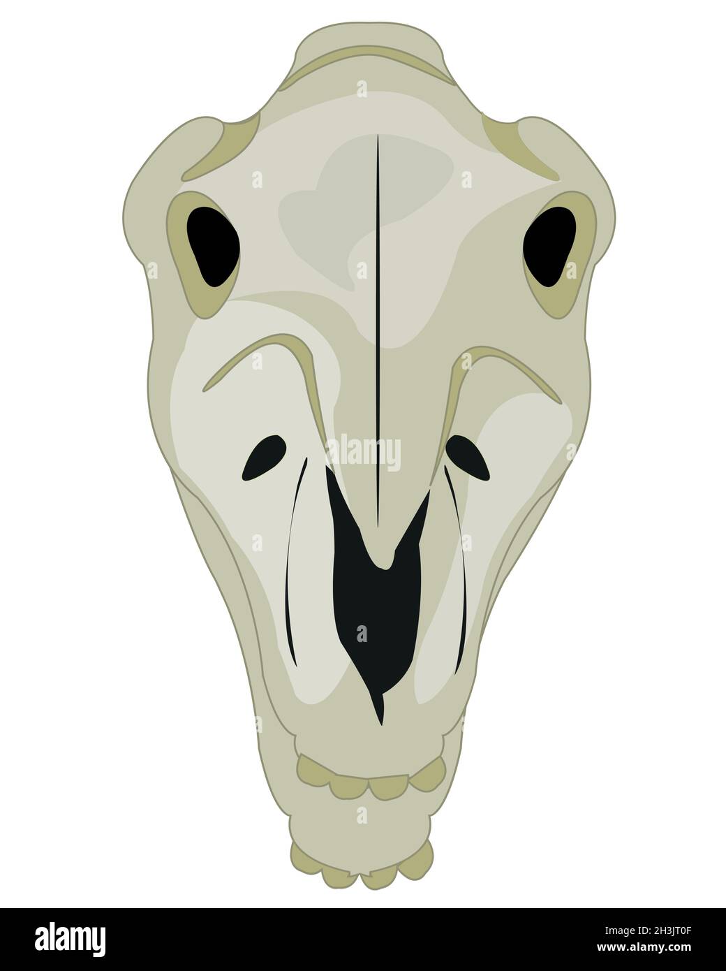 Vektor-Illustration der Karikatur des Schädels Tierpferd Stock Vektor