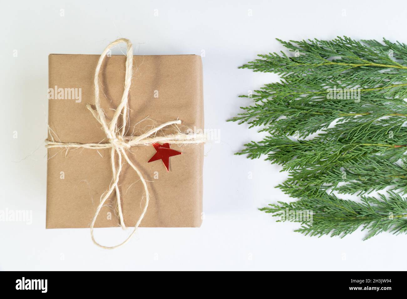 Weihnachts-Geschenkbox mit noel Baum Blätter weihnachtskonzept Foto, Draufsicht weißen Hintergrund Stockfoto
