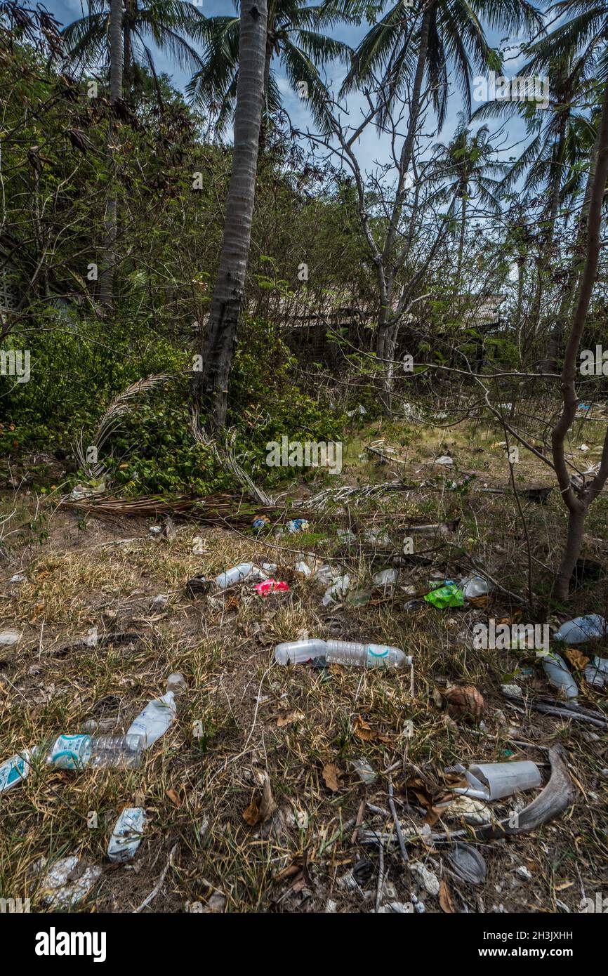 Müll im Palmenwald Stockfoto