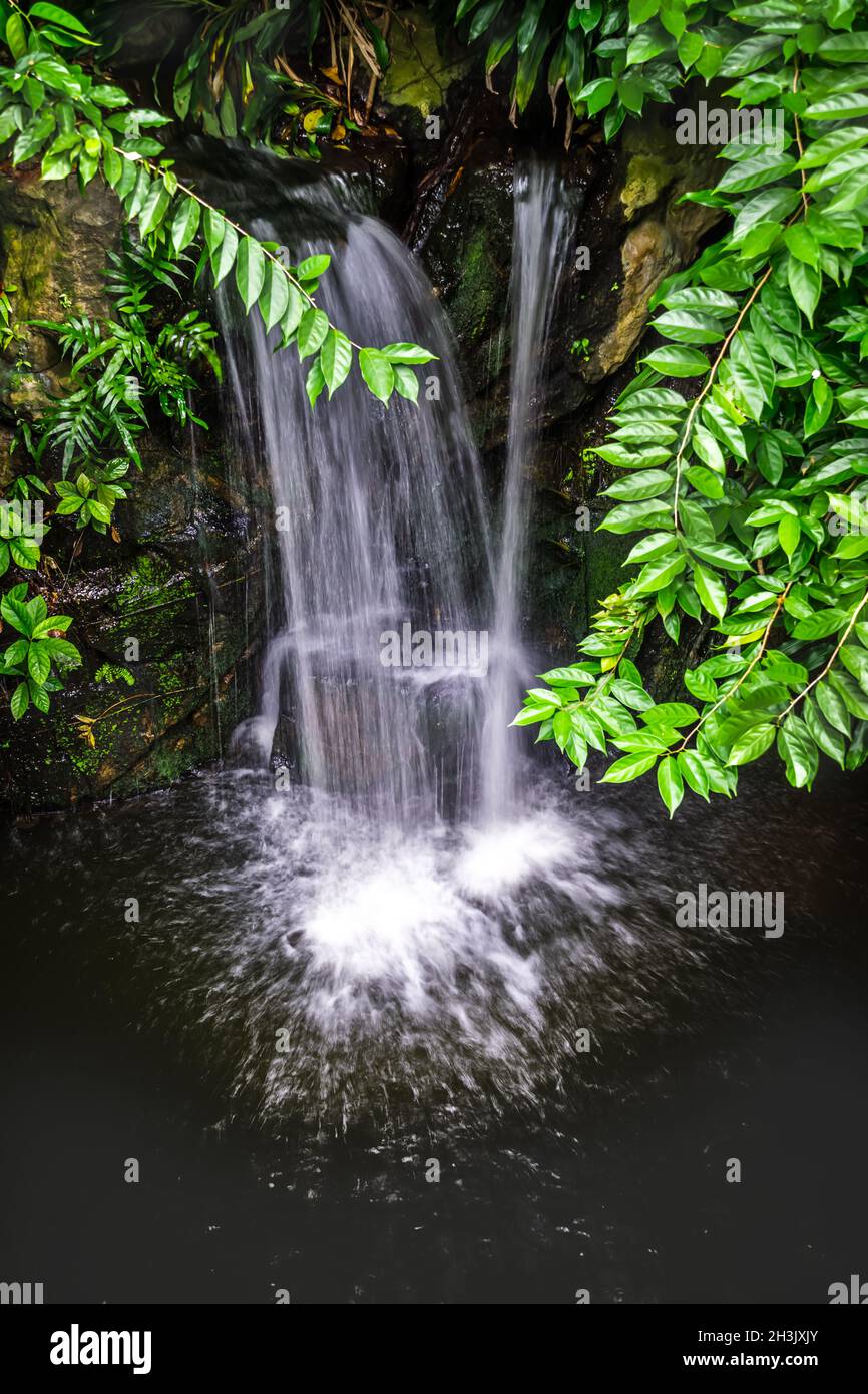 Wunderschöner Wasserfall in natürlicher Umgebung. Stockfoto