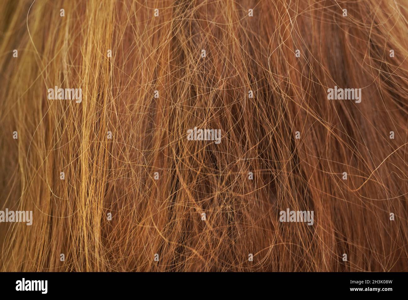 Langes braunes, verworrenes Haar. Hintergrund. Stockfoto