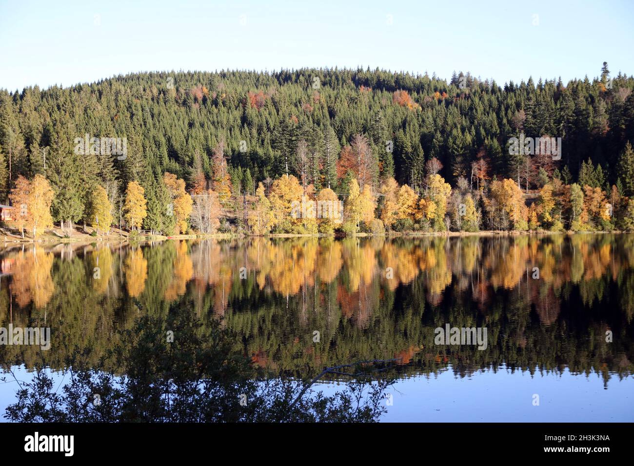 Herbsttag im Oberschwarzwald Stockfoto