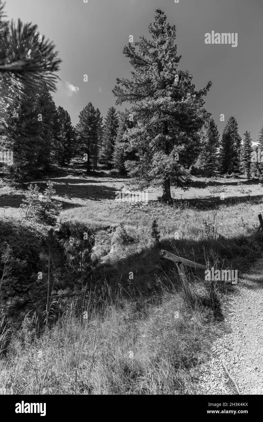 Villnösser Dolomiten. The Odle. Schwarz und Weiß. Stockfoto