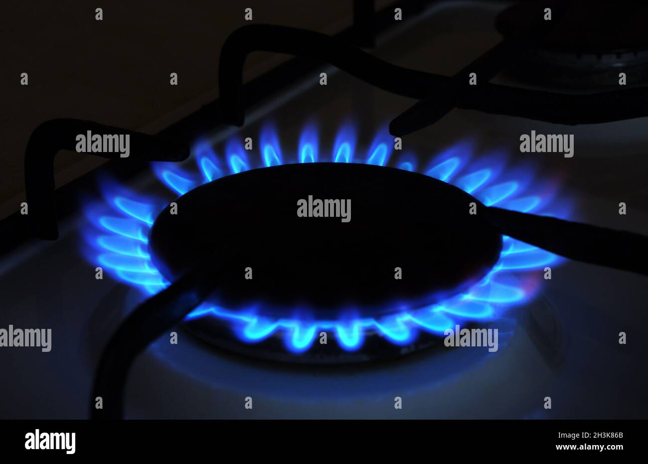 Erdgas. Hohe Preise für Erdgas. Blaue Gasflammen, die aus einem Küchengasherd brennen. Energiekrise. Stockfoto