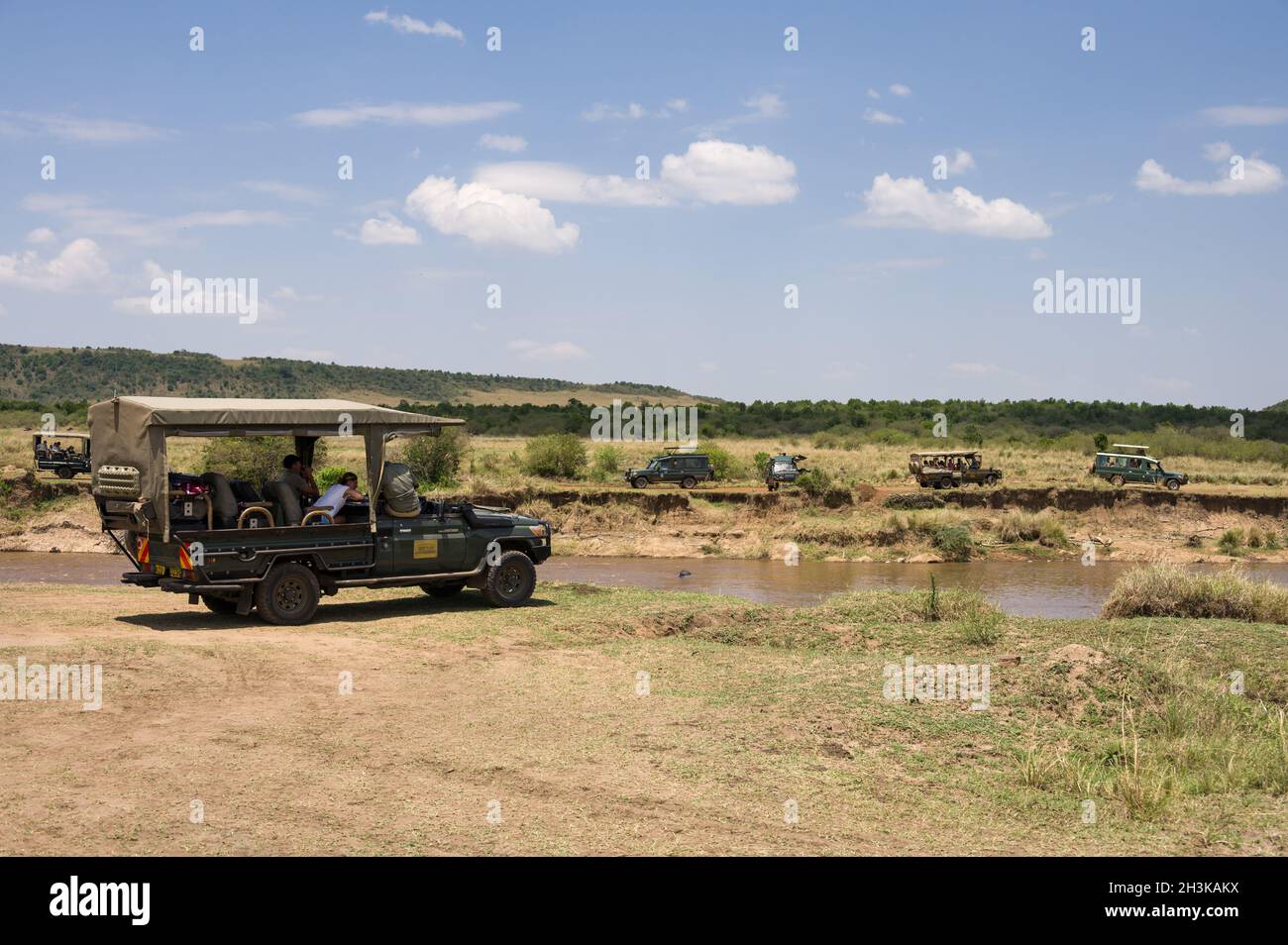 Mehrere 4x4 Toyota Landcruiser Safari-Fahrzeuge mit Touristen am Mara Fluss warten auf Tiere zu überqueren, Masai Mara, Kenia Stockfoto