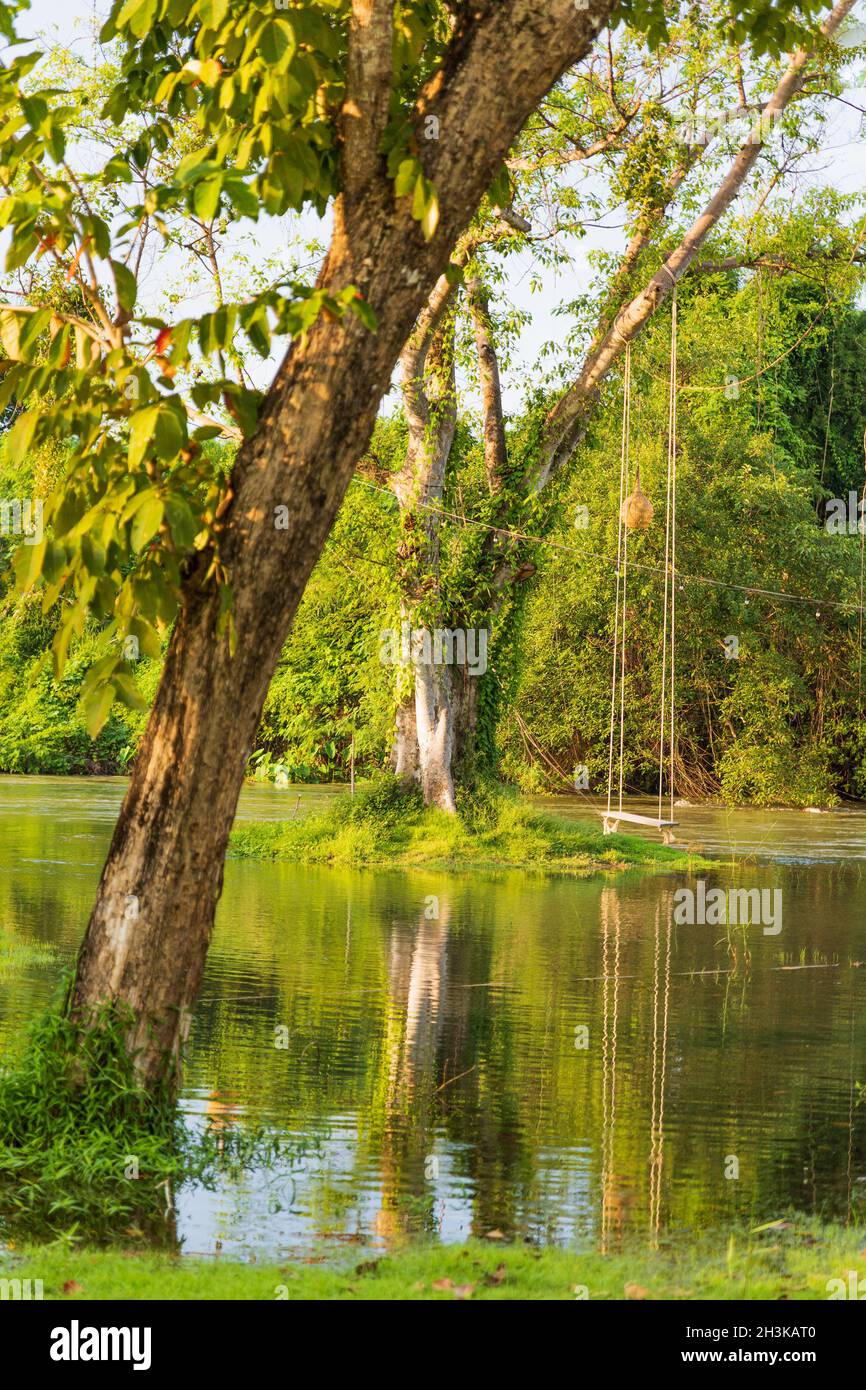 Seilschaukel hängend von einem Baum über einem fließenden Fluss in einer Naturparkumgebung in Thailand mit üppigem grünem Laub und morgendlichen Herbstblättern. Stockfoto