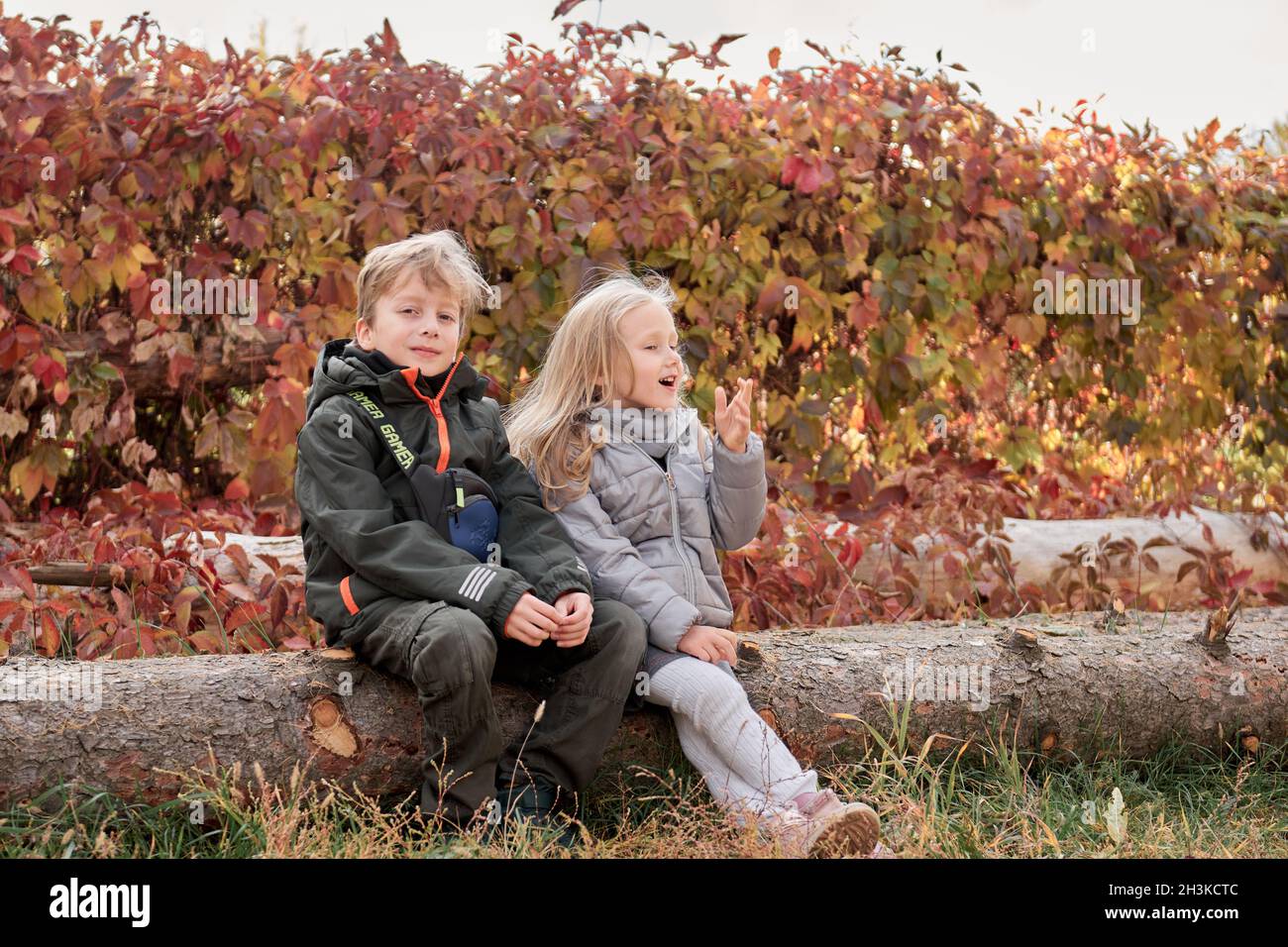 Liebende Geschwister Bruder und Schwester haben Spaß im Park mit trockenen gelben und roten Blättern. Herbstlicher Familienspaziergang. Stockfoto