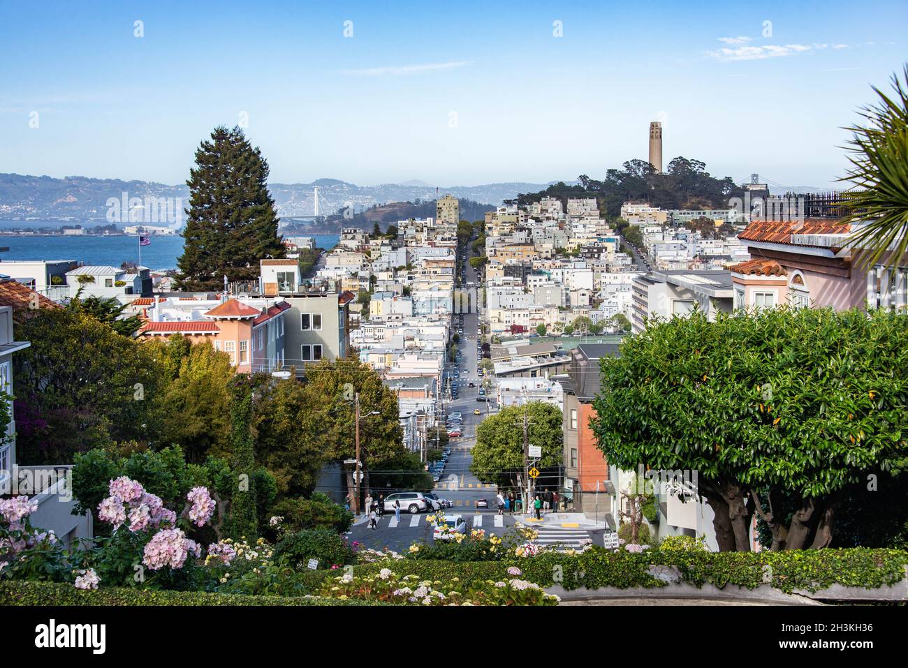 Lombard Street, San Francisco, California, USA Stockfoto