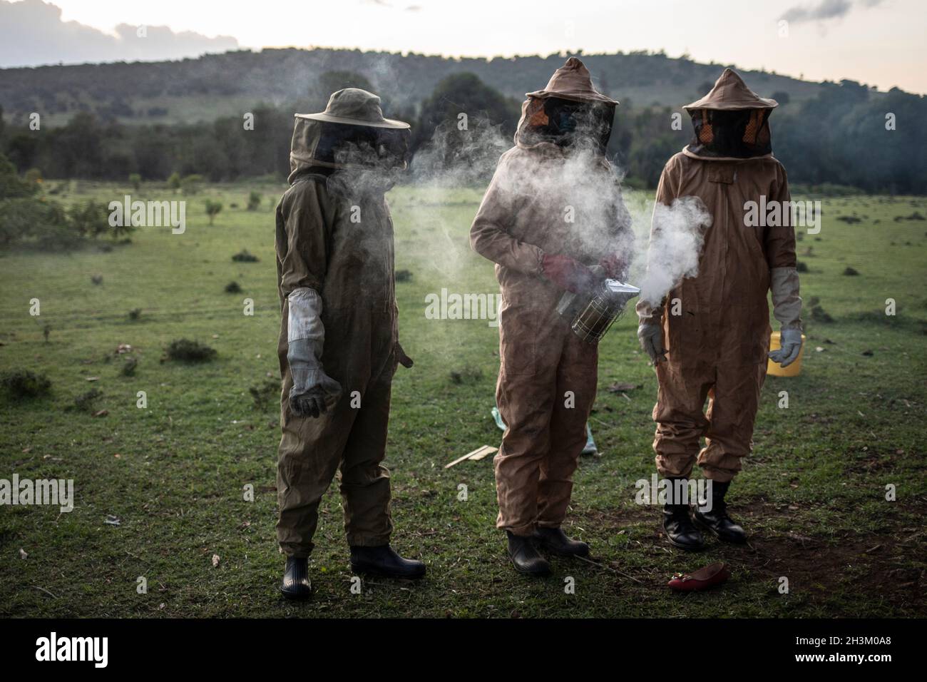 Mitglieder der Community Forest Association (CFA) bereiten sich auf die Honigernte am Rande des Kirisia-Waldes am 16. August 2021 in Samburu, Kenia, vor. A Stockfoto