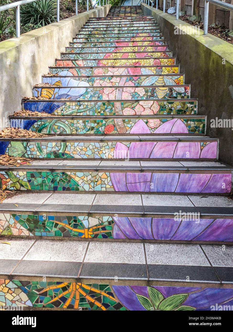 The Hidden Garden Steps, San Francisco, California, U. S. A. Stockfoto