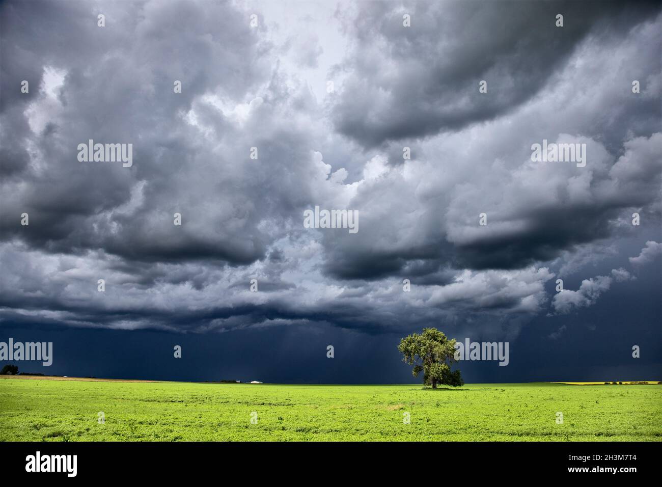 „Sturm Der Usa“ Stockfoto