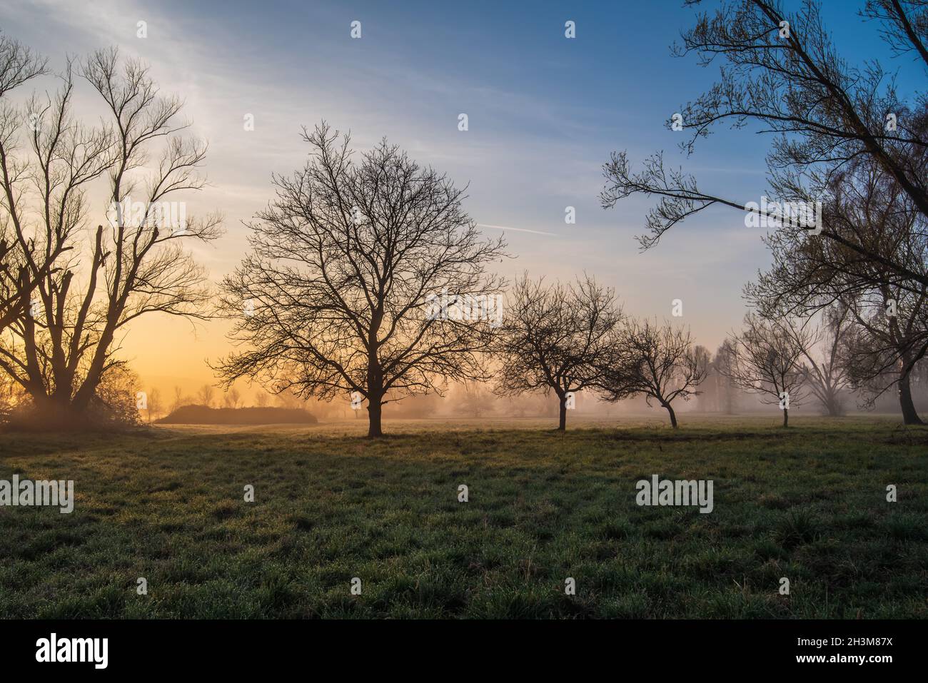 Ein neuer Tag im Frühling Stockfoto