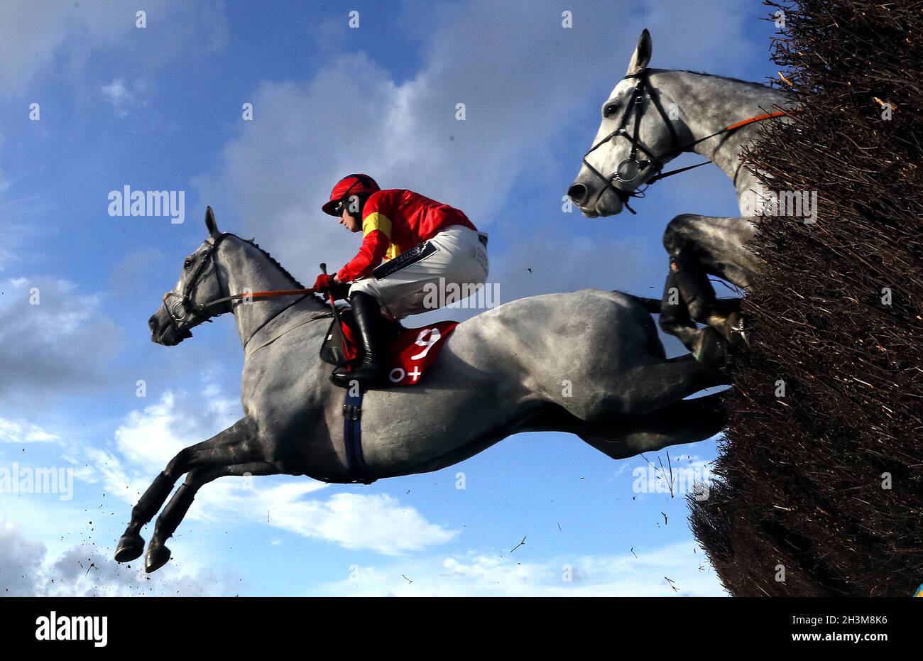 Vanillier, der von Jockey Keith Donoghue während der Tote Ten geritten wurde, um Beginners Chase am ersten Tag des Ladbrokes Festival of Racing auf der Rennbahn Down Royal in Lisburn zu folgen. Bilddatum: Freitag, 29. Oktober 2021. Stockfoto