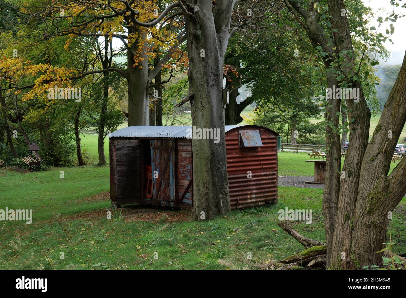 Verrostete alte Metall- und Holzschuppen auf Gras unter Bäumen in ländlicher Umgebung Stockfoto