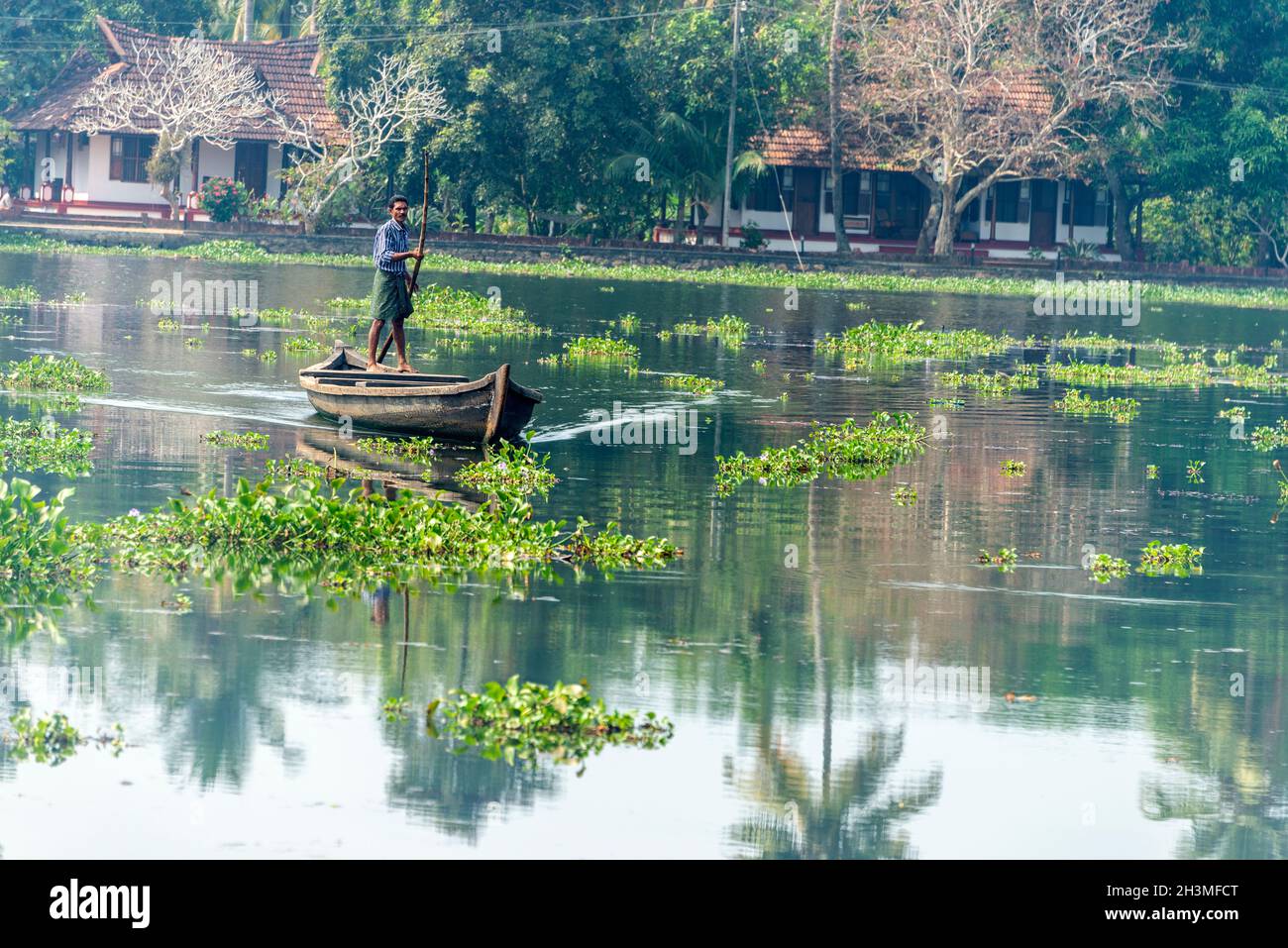 Ein indischer Punter, der einen langen Pol verwendet, macht sich auf einem Punt auf, mit dem Hotelgäste und Waren im Backwaters auf Philipkuttys Farm, einem Luxus, befahren werden Stockfoto