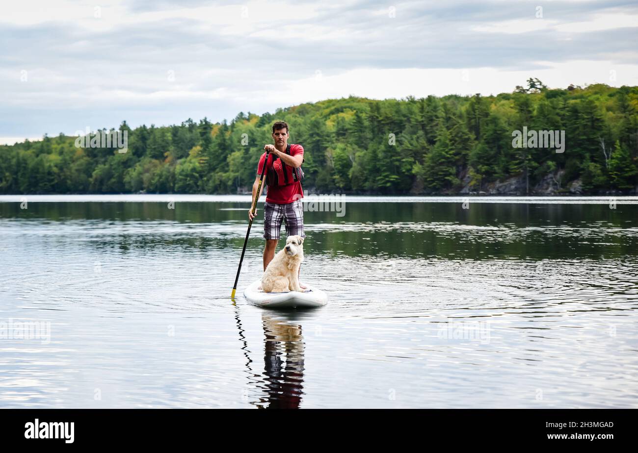 Mann paddelt mit seinem Hund auf einem Stand Up Paddleboard SUP auf einem See. Stockfoto