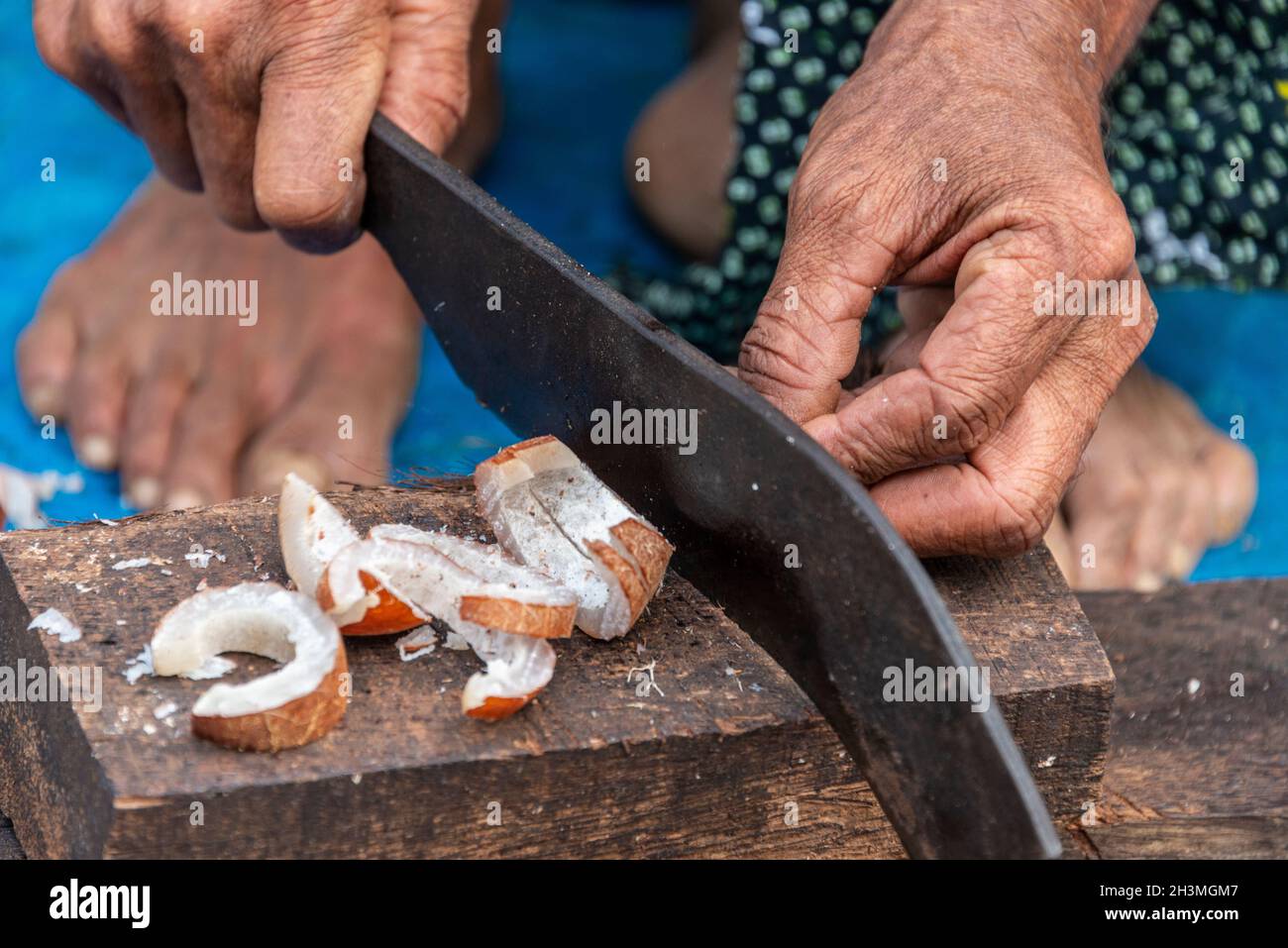 Ein Spalter wird verwendet, um einen großen Stapel Kokosnussschalen in kleine Scheiben auf Philipkuttys Farm in Kottayam, Kerala, Indien, die geschnittenen Kokosnüsse zu hacken Stockfoto