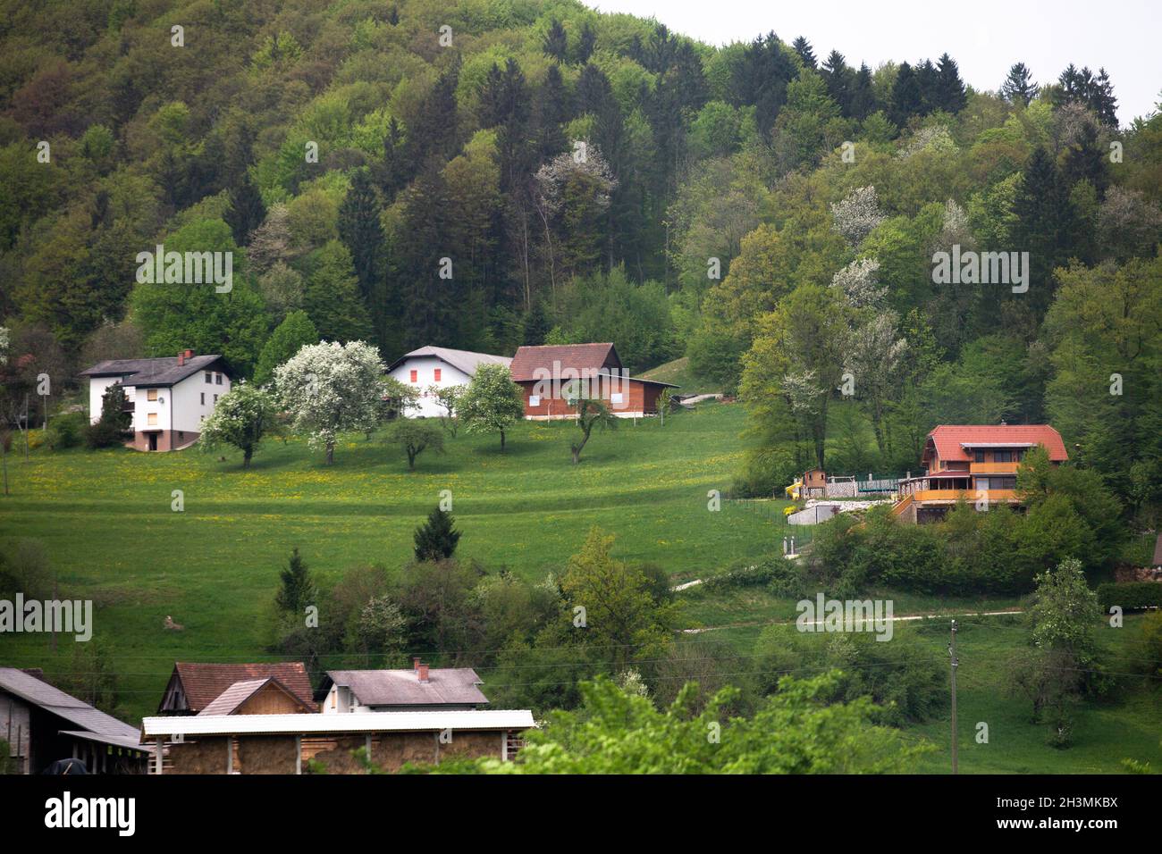 Kleines Feriendorf unter dem Berg. Malerischer Blick auf bergige Gegend mit grünen Wäldern mit kleinem Land überwuchert h Stockfoto