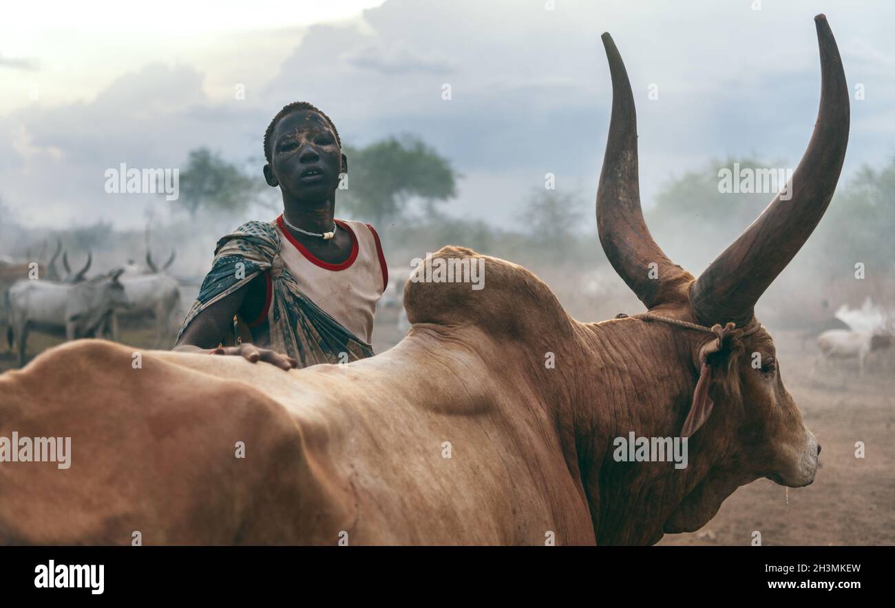 MUNDARI-STAMM, SÜDSUDAN - 11. MÄRZ 2020: Jugendlicher Junge aus dem Mundari-Stamm, der hinter einer braunen Ankole Watusi-Kuh steht und anschaut Stockfoto