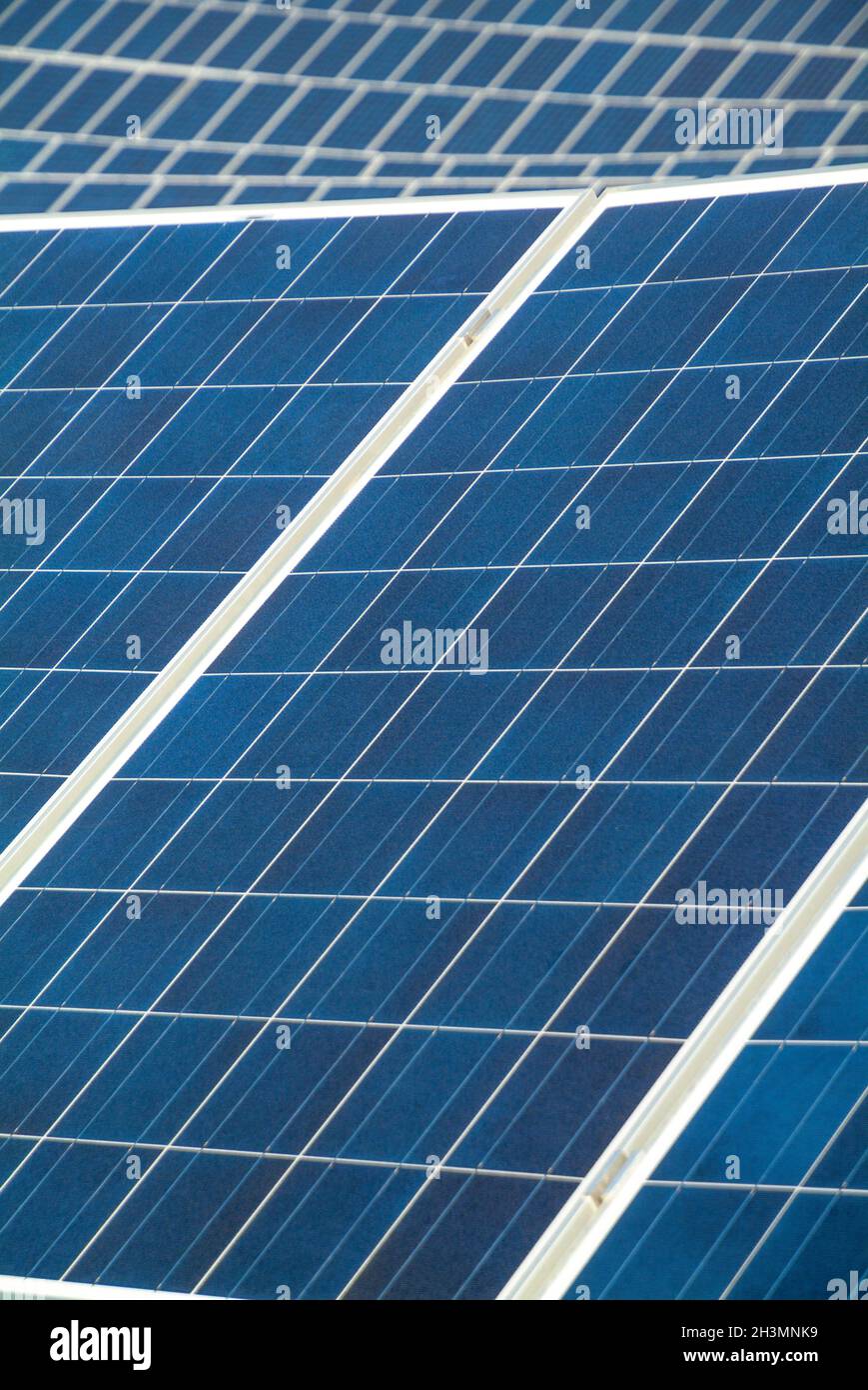 Nahaufnahme von Sonnenkollektoren in einem offenen Feld, Campobasso, Molise, Italien Stockfoto