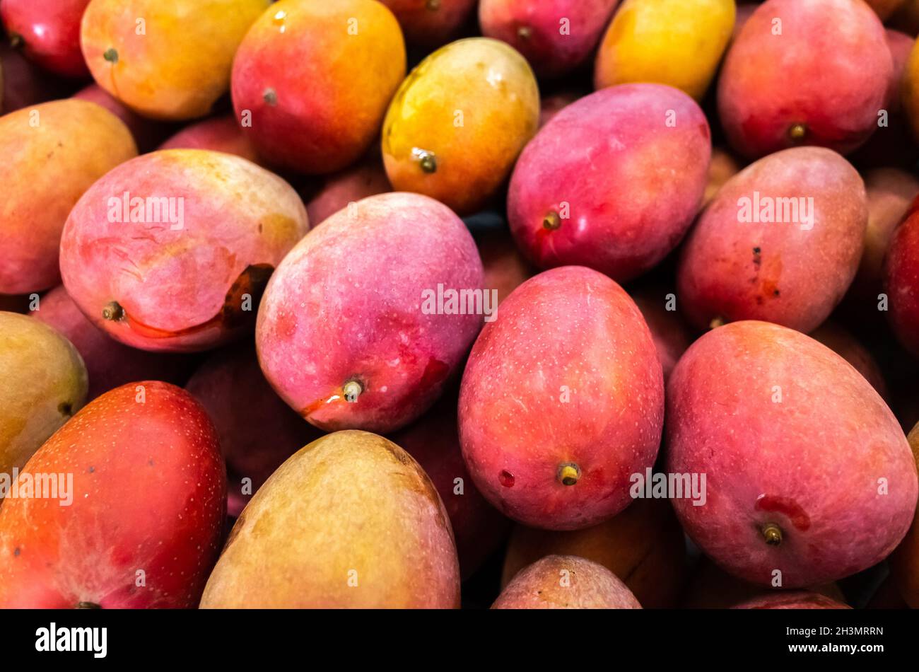 Rote Stapel Mangofrüchte Stockfoto