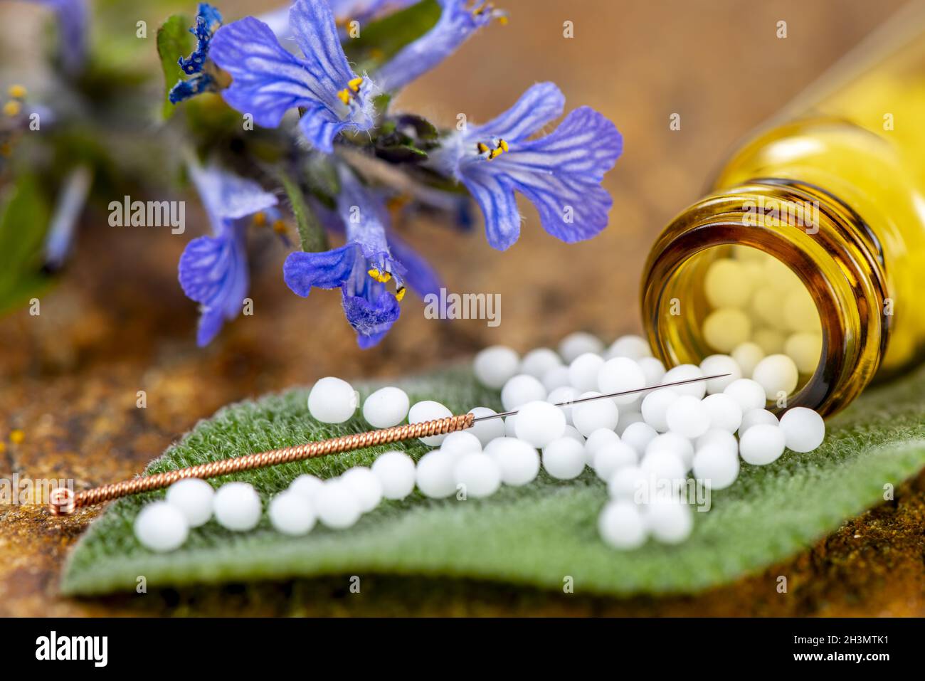 Alternative Medizin mit Akupunktur und Kräuterpillen Stockfoto