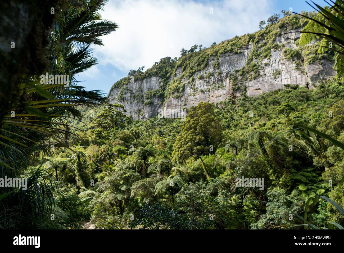 Der Pororari River, Neuseeland, Südinsel Stockfoto