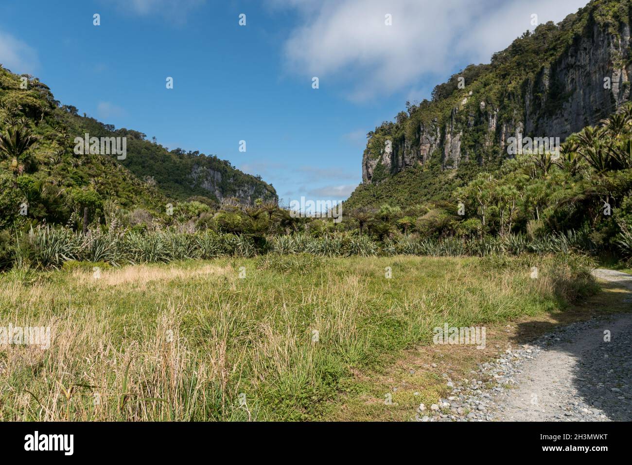Der Pororari River, Neuseeland, Südinsel Stockfoto