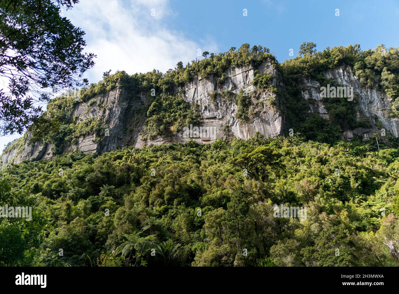 Der Pororari River, Neuseeland, Südinsel Stockfoto