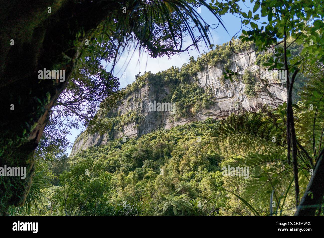 Der Pororari River, Neuseeland, Südinsel Stockfoto