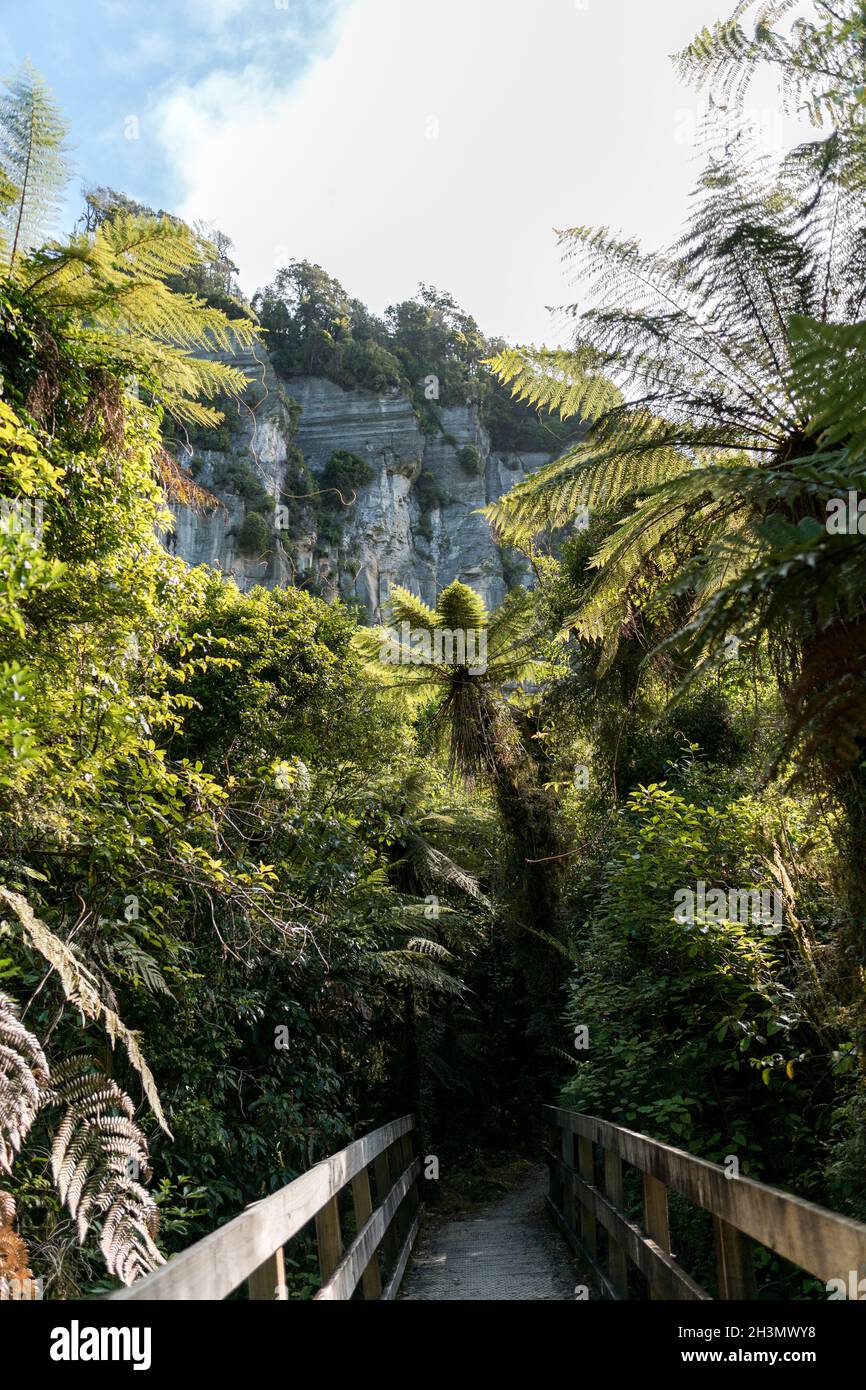 Der Pororari River, Neuseeland, Südinsel Stockfoto