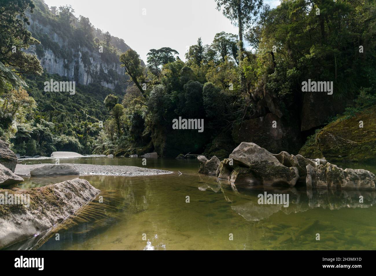 Der Pororari River, Neuseeland, Südinsel Stockfoto