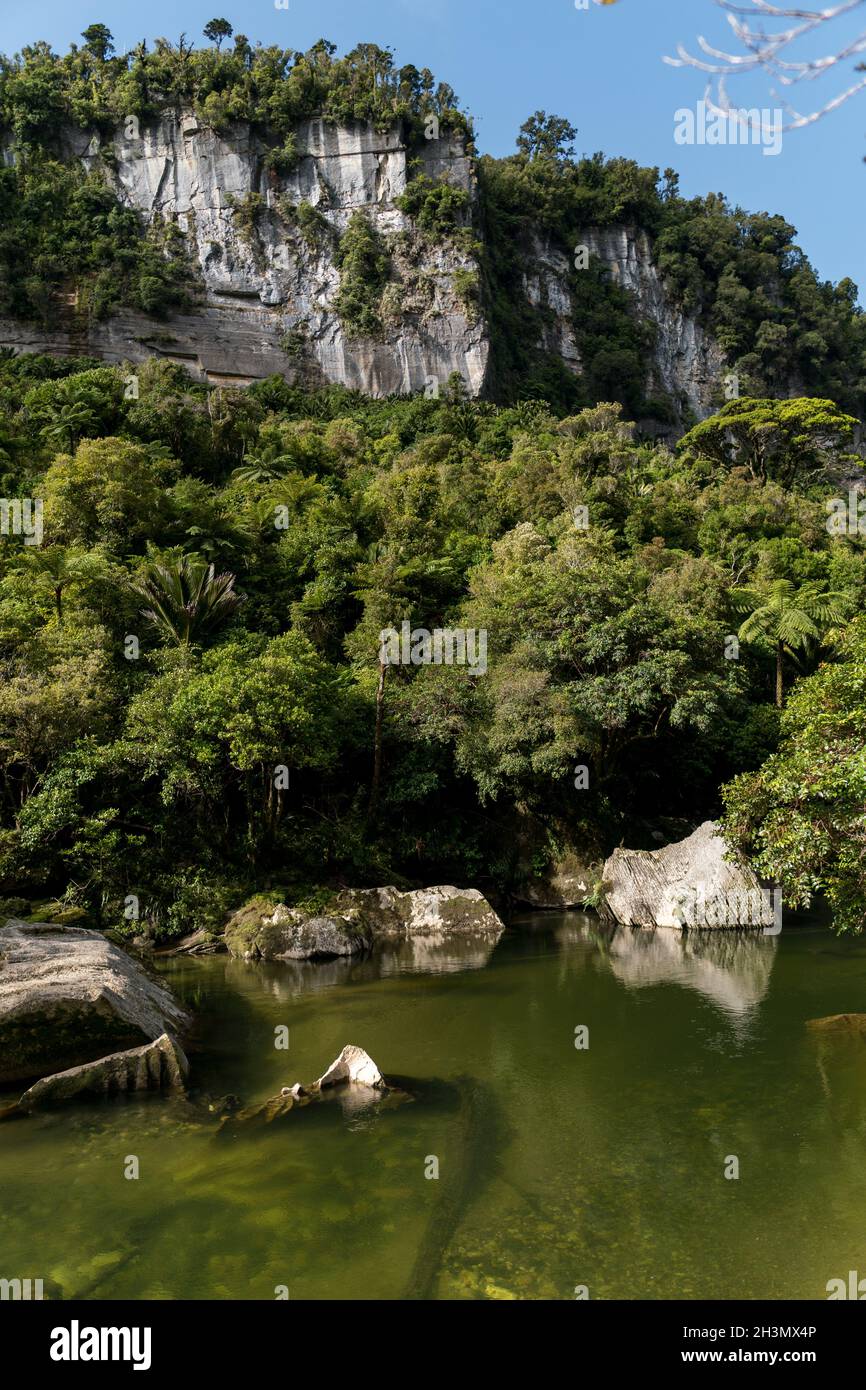 Der Pororari River, Neuseeland, Südinsel Stockfoto